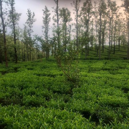 The Forest Resort - Muneeswaramudi Eco Hermitage And Farms Tindummal Exterior photo