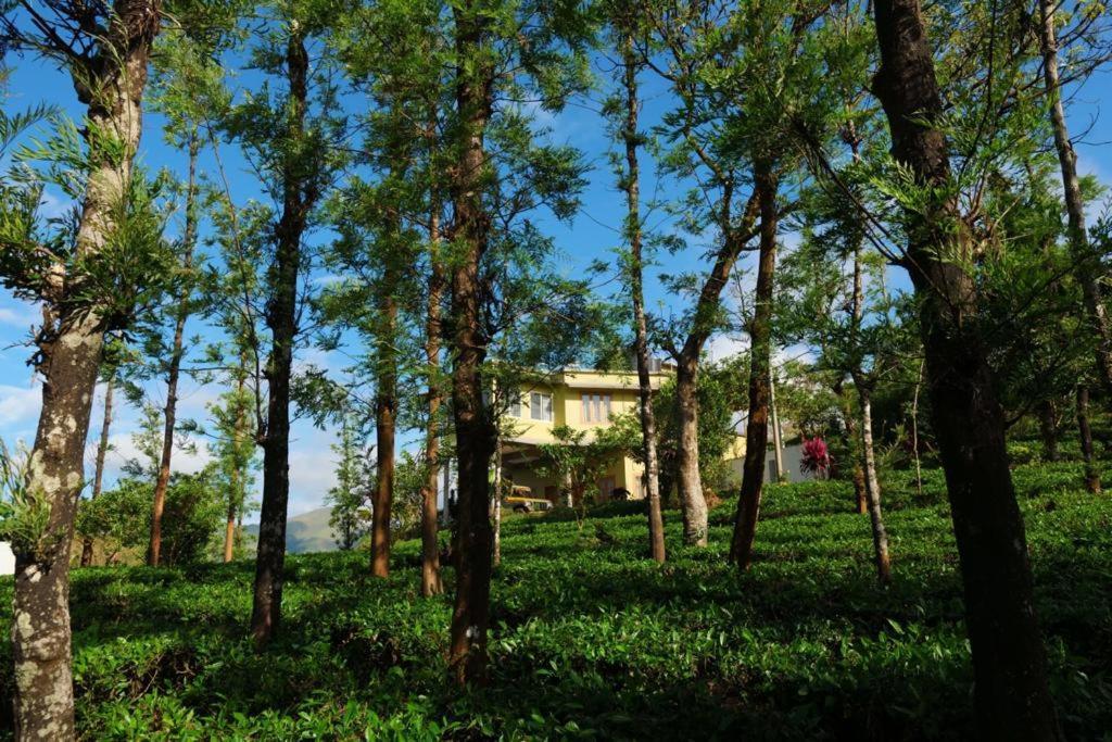 The Forest Resort - Muneeswaramudi Eco Hermitage And Farms Tindummal Exterior photo
